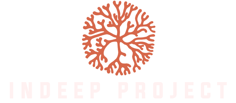 Indeep Project