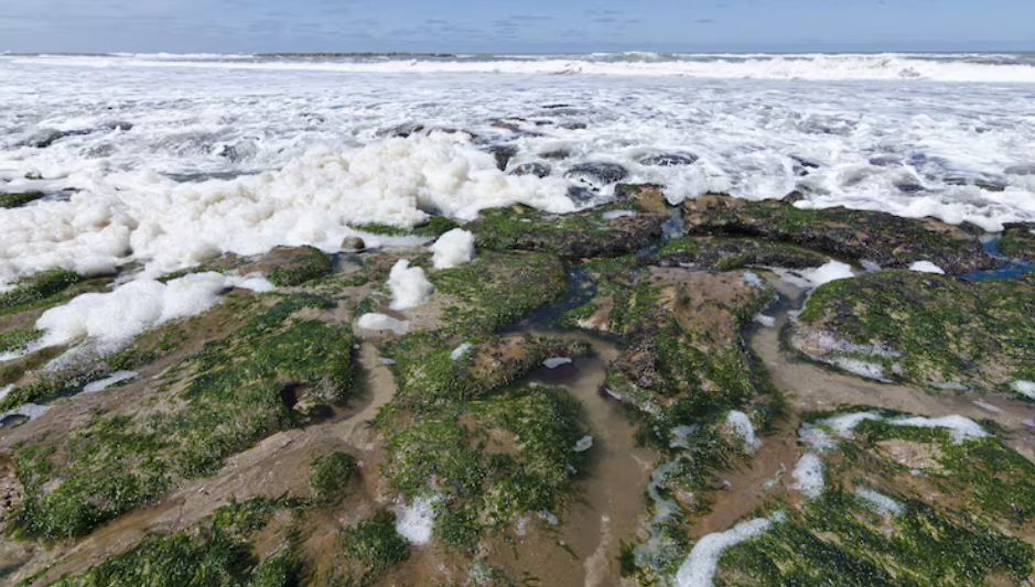 Copernicus Ocean State Report