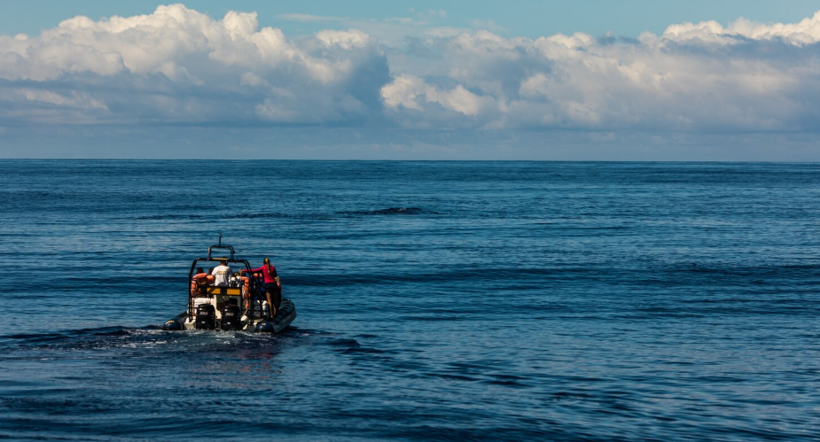 The Deep Sea Conservation