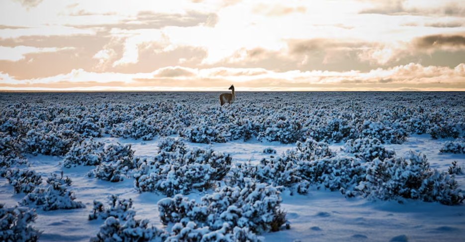 Climate Change Is Threatening