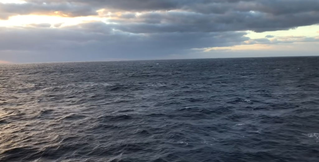 The Deep North Atlantic Is Changing, and It's Bringing New Species Along With It