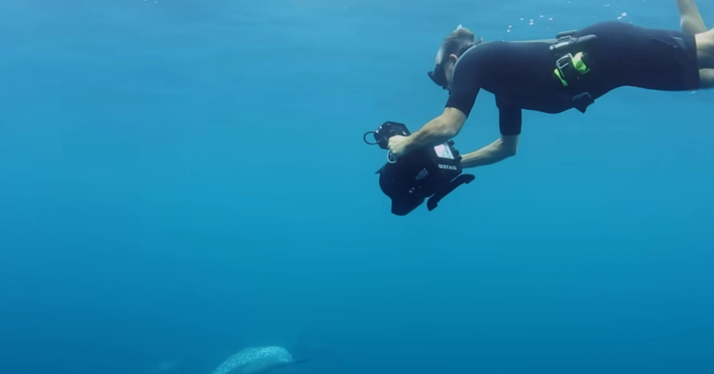 How Scripps Oceanography and San Diego Zoo Are Building a Conservation Partnership Nobody Predicted
