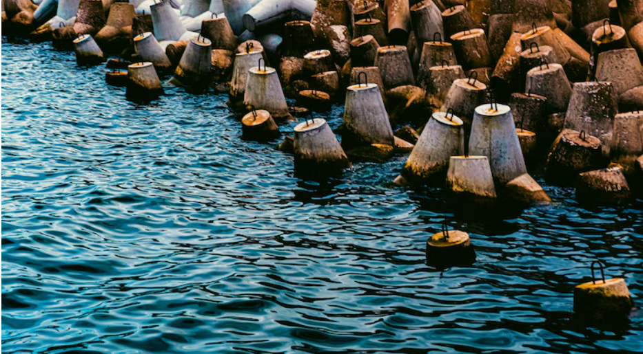The Biogeochemical Floats