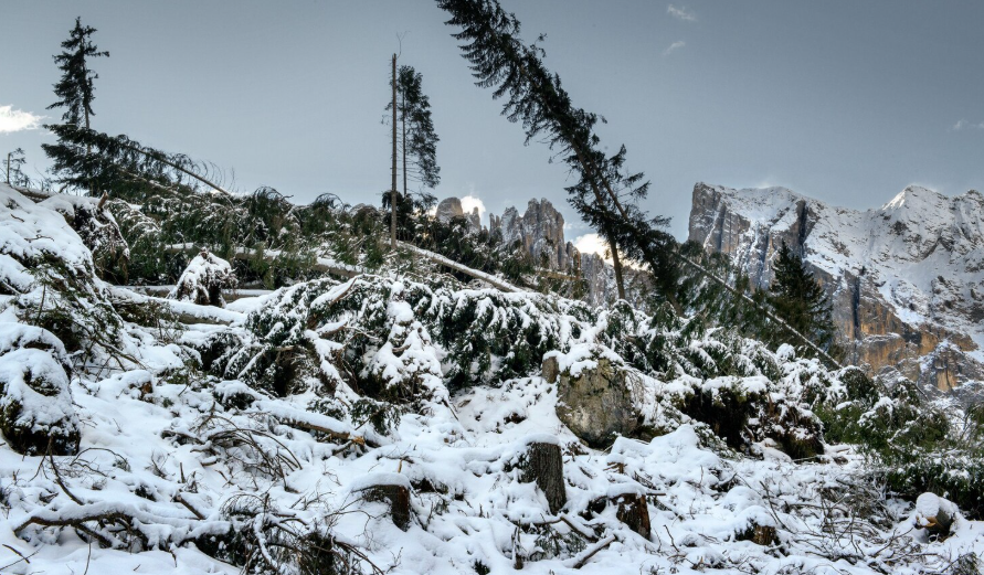 Colorado Winter Storm Warnings