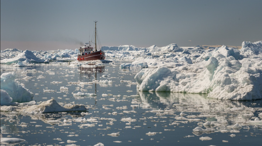 Scientists Who Discovered an Arctic Deep-Sea
