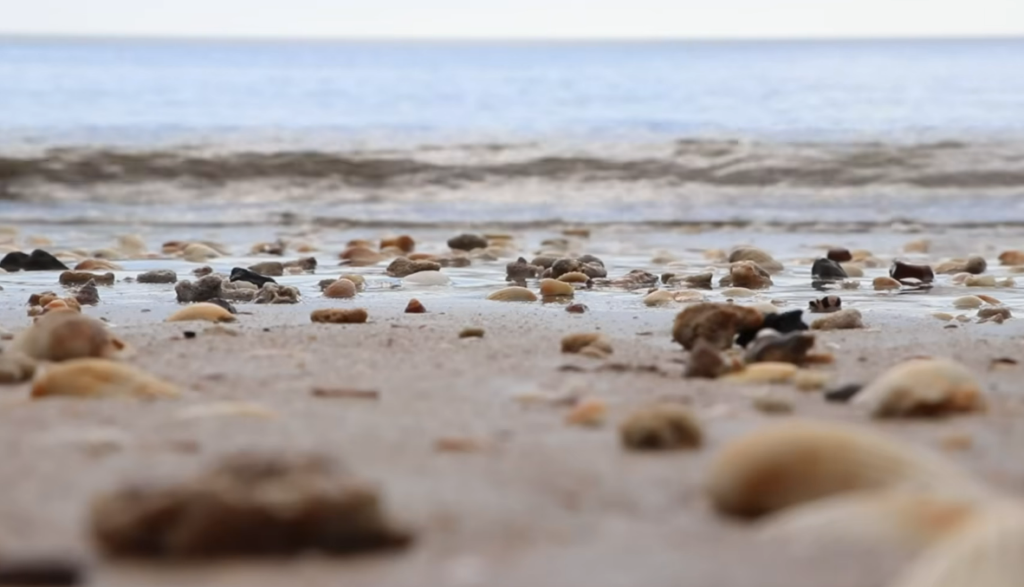 Queensland's Unusual May Rain Just Broke Records Nobody Expected to See Broken Queensland's Unusual May Rain Just Broke Records Nobody Expected to See Broken