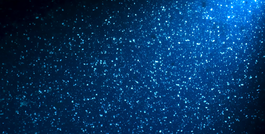 The Acoustic Ocean: What Millions of Hours of Deep-Sea Audio Just Revealed