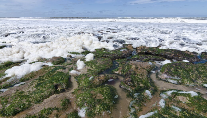 A $15 Million Infusion: How Scripps Oceanography Plans to Decode the Coastal Crisis