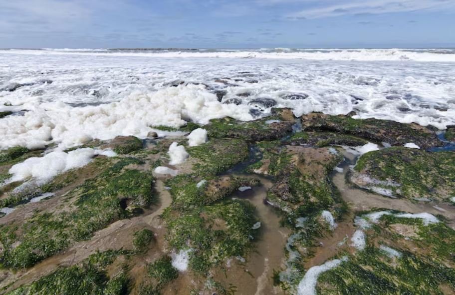 A Deep-Ocean Climate Plan Just Won Rare EPA Approval — But Sinking Plants Into the Sea Raises More Questions Than It Answers