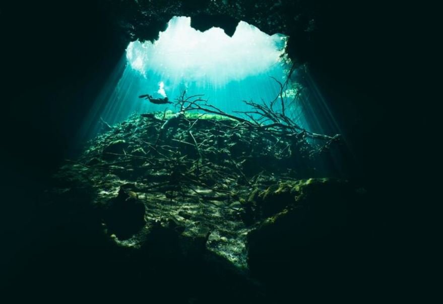 A New Branch of Life Was Discovered in the Deep Sea — And It Challenges the Tree of Life As We Know It
