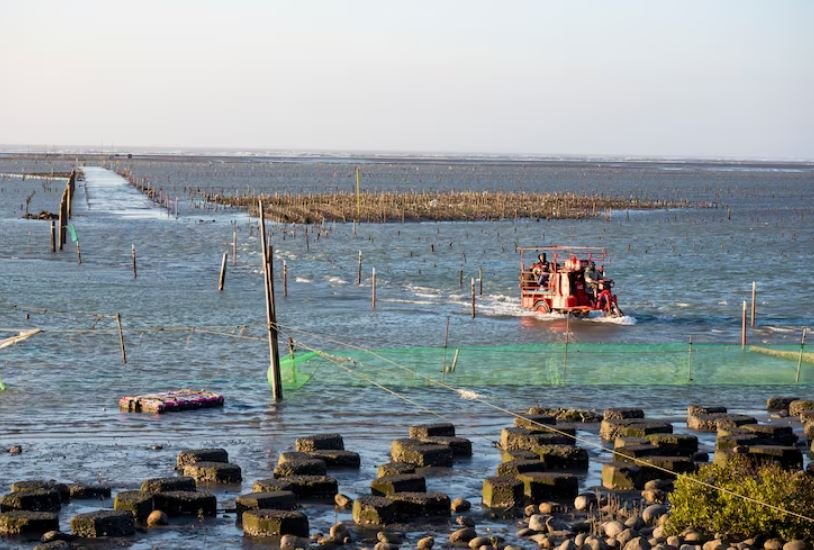 How American Fishing Communities Near the Aleutian Islands Are Fighting a Mining Industry They Never Voted For