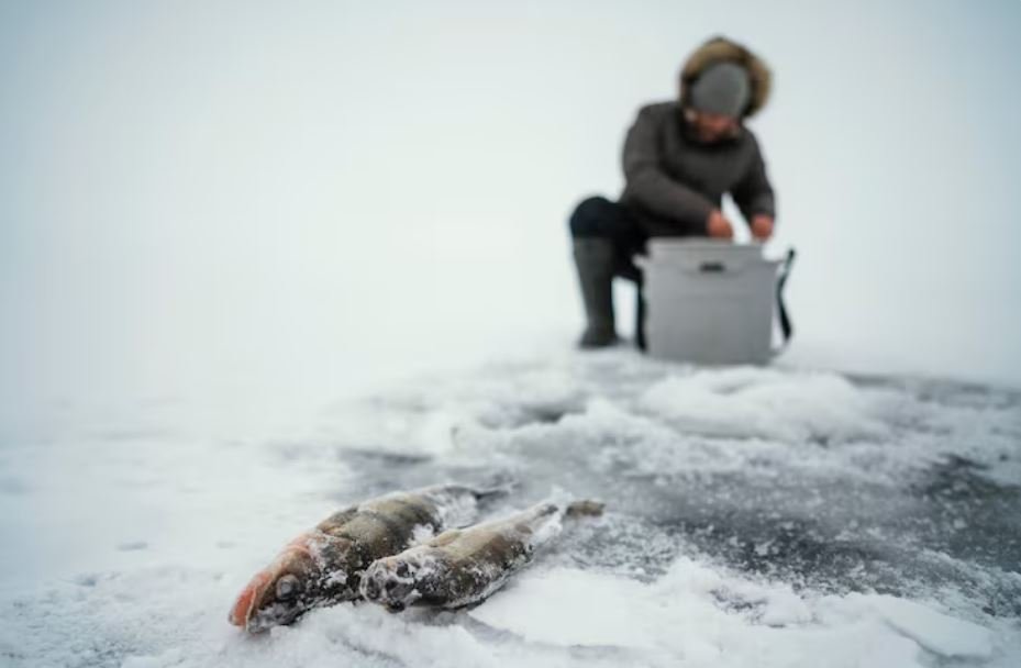 NOAA's Bristol Bay Salmon Management Just Prevented What Could Have Been the Worst Season for Alaska Fisheries in Memory