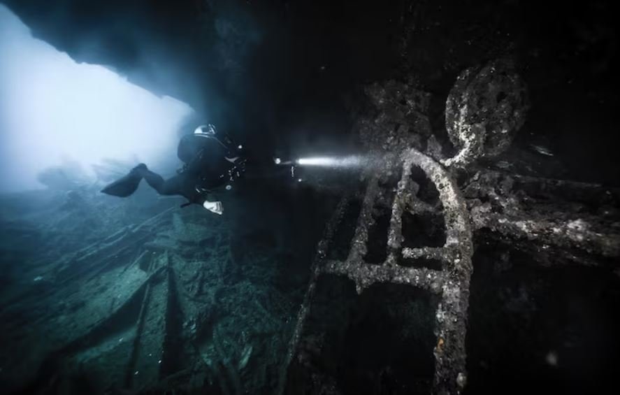 Scientists Lowered a Camera Into an Arctic Seafloor 800 Feet Down and Found Creatures Behaving in Ways They'd Never Observed