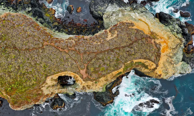 American Samoa's Ocean Floor