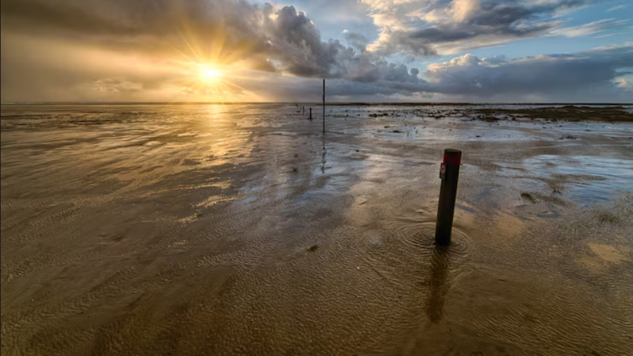 Ocean Heatwaves Are Now Lasting Longer