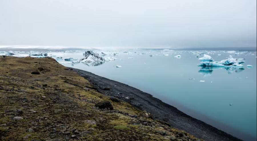 The Invisible Crisis in America's Ocean
