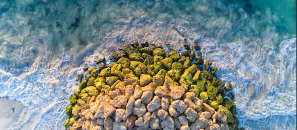 The World's Fourth Mass Coral Bleaching Event