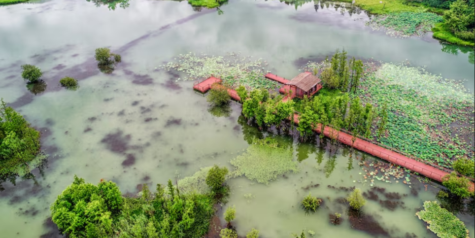 Lake Erie's Harmful Algal Bloom Forecast