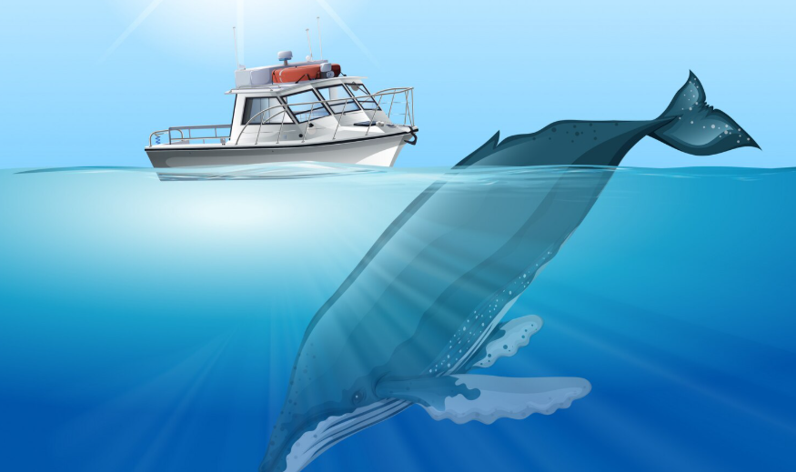 NOAA's On-Demand Gear Systems