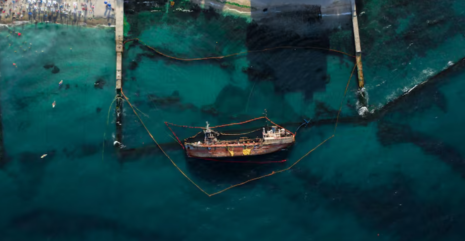 The FAO Report on Deep-Sea Fisheries
