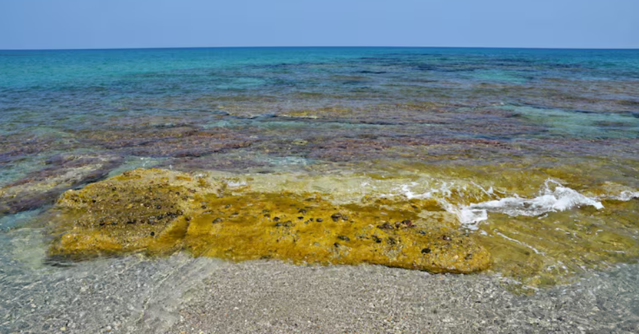 Yellow Brick Road Found at the Bottom of the Ocean
