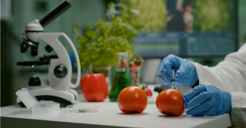 Ultra-Processed Food Review Science