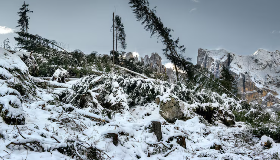 NOAA's Massive Winter Storm