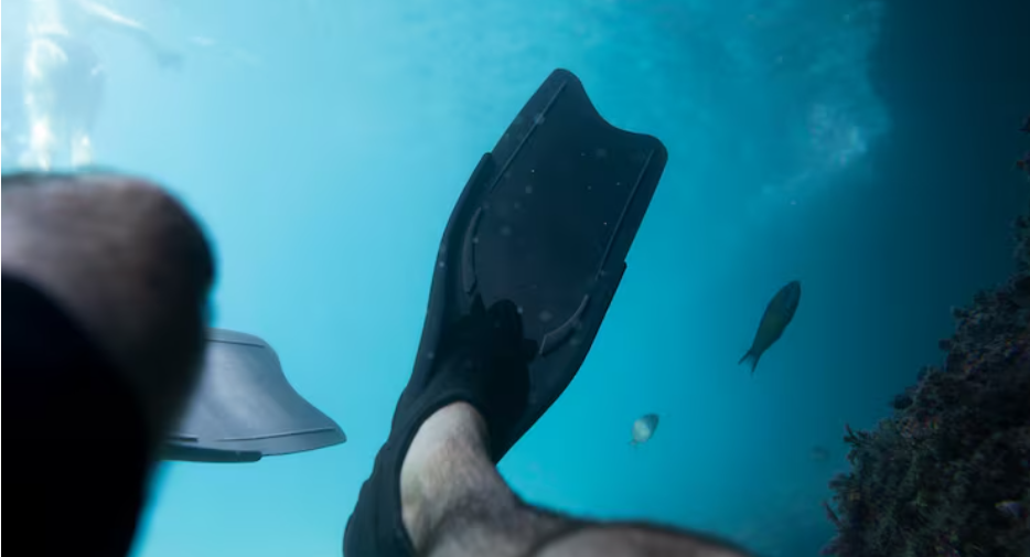 Scientists Observed Deep-Sea Fish