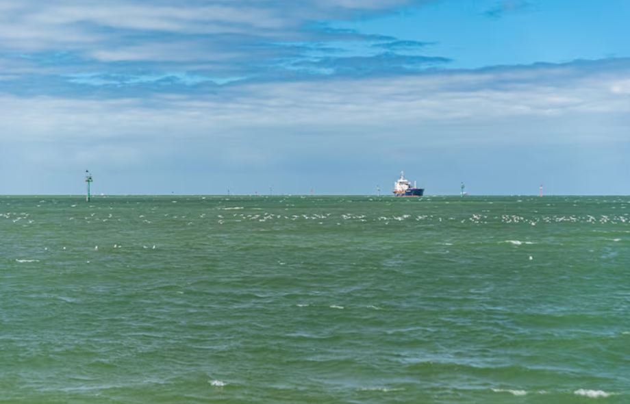 The Blue Carbon Mirage, Why Ocean-Based Climate Fixes Face Massive Regulatory Hurdles
