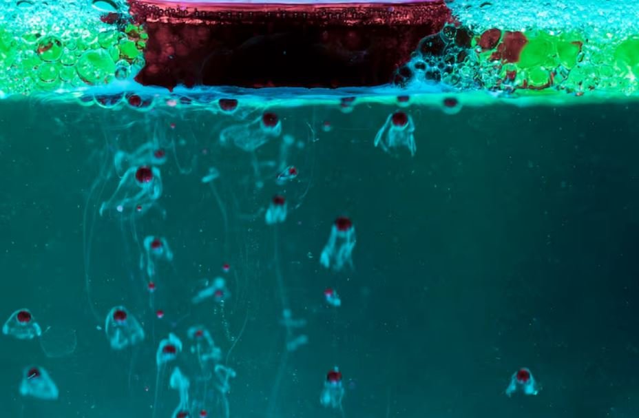 The Organism Living in Deep-Sea Sediment Off Alaska That Has Been Metabolizing Extremely Slowly for an Estimated 100 Million Years
