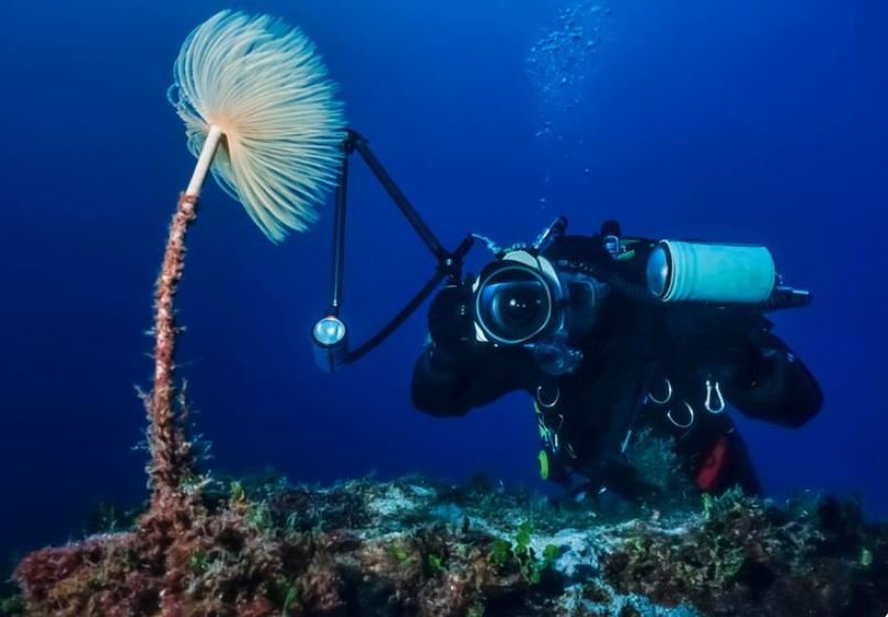 The Underwater Microphone Network Off the U.S. West Coast Is Picking Up Sounds