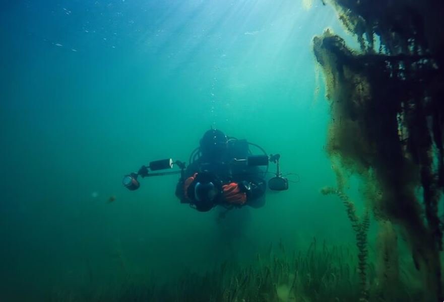 Why Marine Scientists Call Deepwater Bottom Trawling the Clear-Cutting of the Ocean