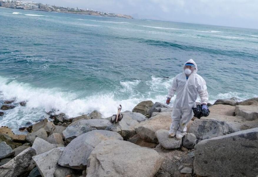 how a stanford oceanographer discovered a hydrothermal field hiding in plain sight under the bering sea