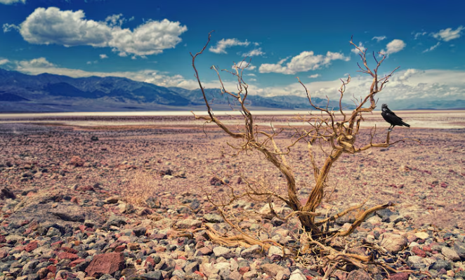 NOAA's Spring Outlook Forecasts Expanding Drought Across the Western U.S. and Parts of the Plains