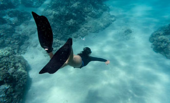 The Blackwater Diver Who Photographs the Deep Sea's Strangest Creatures Says the Ocean Is Coming to Him