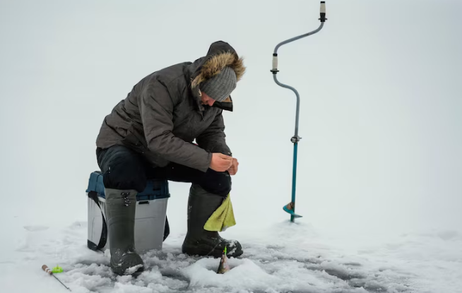 Why NOAA Closed Recreational Fishing for Snowy Grouper — And What It Signals About Overfishing in the Atlantic