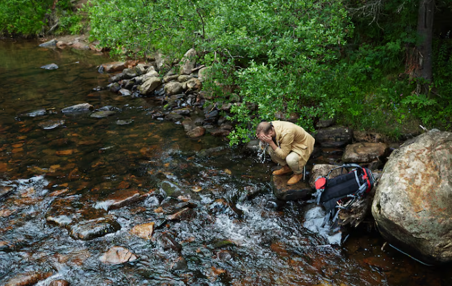 Record 30,000 Endangered Coho Salmon Returned to Mendocino Coast Rivers — NOAA Calls It a Conservation Milestone