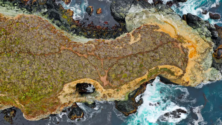 How Satellite Data and Bathymetric Mapping Are Creating a Three-Dimensional Picture of the Entire Ocean Floor