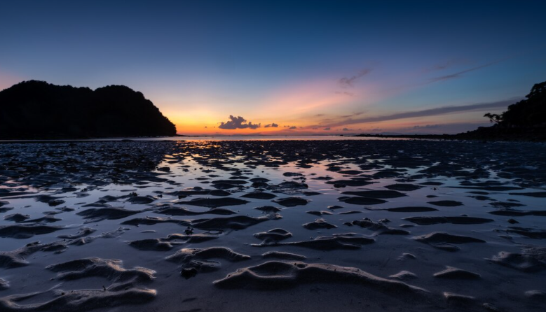 The Twilight Zone of the Pacific Ocean Off Guam Is Home to at Least 20 Species That Science Has Never Named