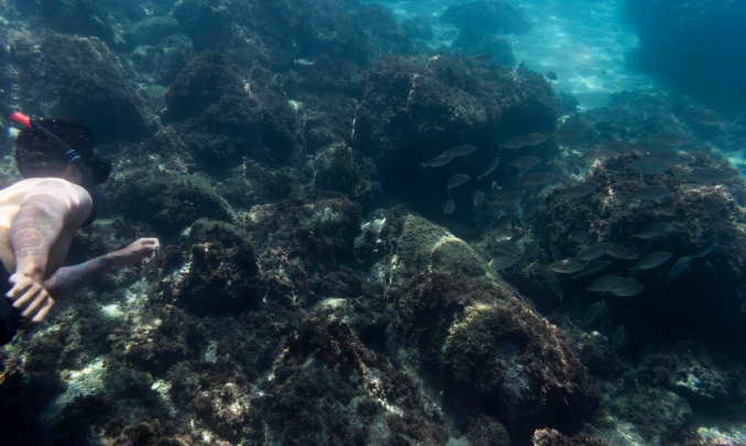 The Deep Ocean Beneath the Gulf Stream Is Moving Differently Than It Did Twenty Years Ago. Scientists Are Watching Carefully.