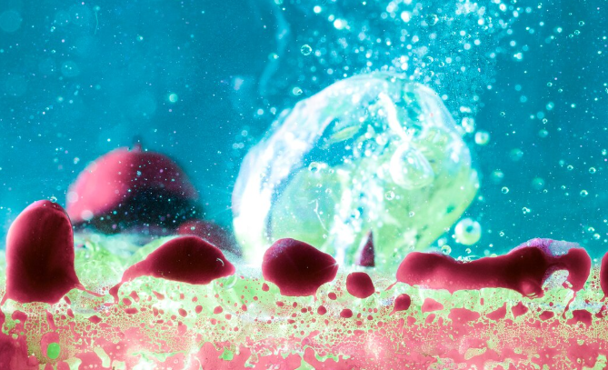 The Immortal Sponges: The Secret to Surviving a Million Years Without Sunlight
