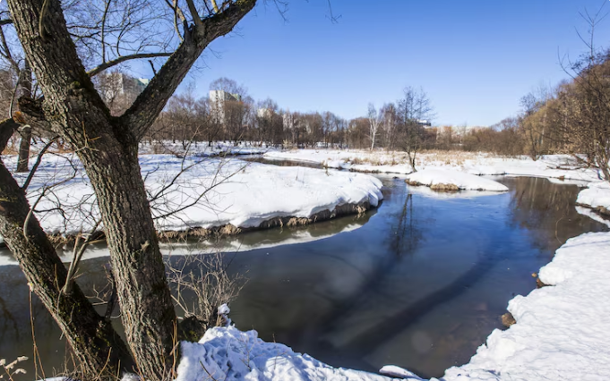 How the United States Is Using a Cold War–Era Hydrophone Array to Monitor Climate Change in Real Time