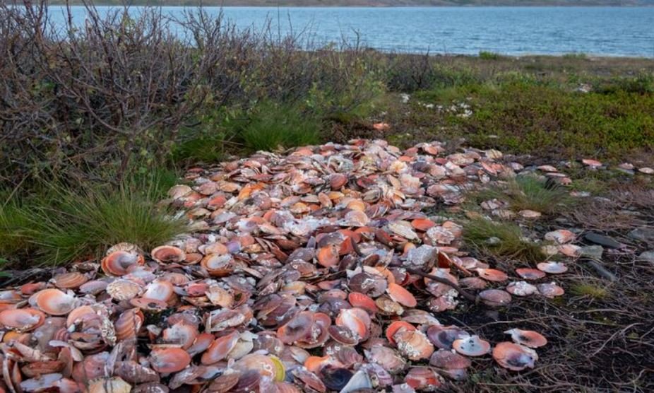 How Ocean Acidification Is Quietly Destroying the Shellfish Industry Along the U.S. Pacific Northwest Coast