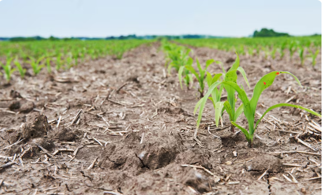 Scottsbluff Nebraska Farming Drought
