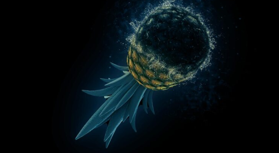 The Deep-Sea Sponge