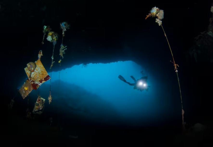 The Autonomous Kraken, How Subsea Robotics Are Using Biomimicry to Navigate Uncharted Underwater Caves