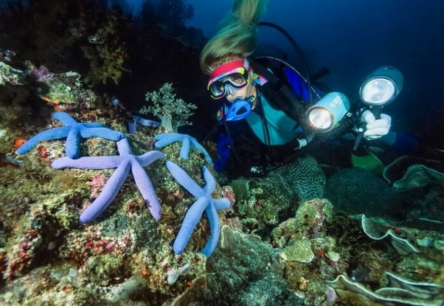 The Coral Reefs in the Florida Keys Are Dying in Ways That Cannot Be Reversed, Marine Biologists Are Documenting the End