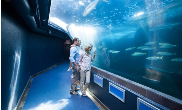 The Digital Twin of the Ocean , Inside Europe's Massive EMODnet Project to Simulate the Entire Marine World