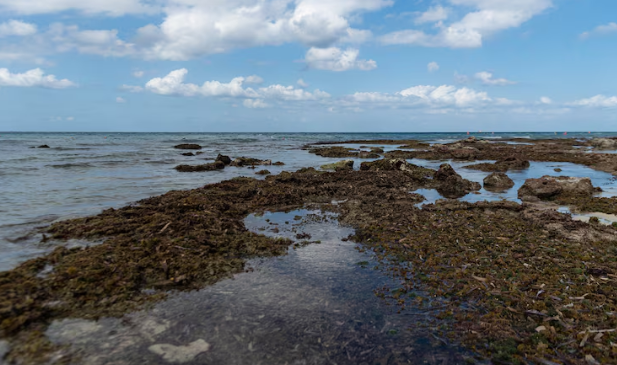 The Ocean Floor Off Puerto Rico Is Being Studied for Critical Minerals While the Island Still Rebuilds From Hurricane Maria