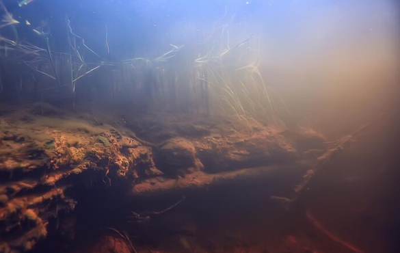 The Toxic Dust Storms Under the Sea That Could Starve Marine Ecosystems